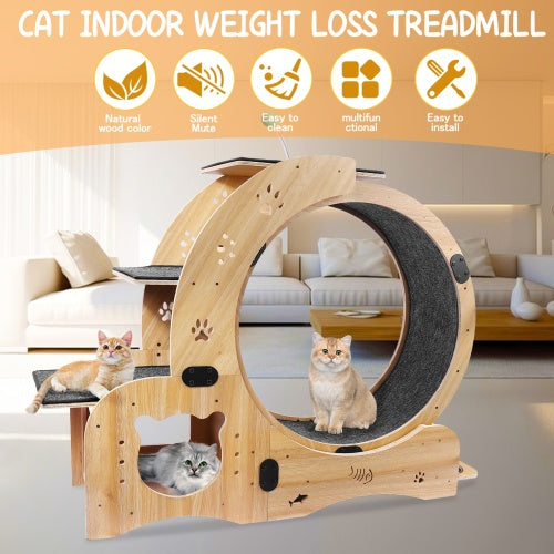 6-in-1 Wooden Cat Exercise Wheel