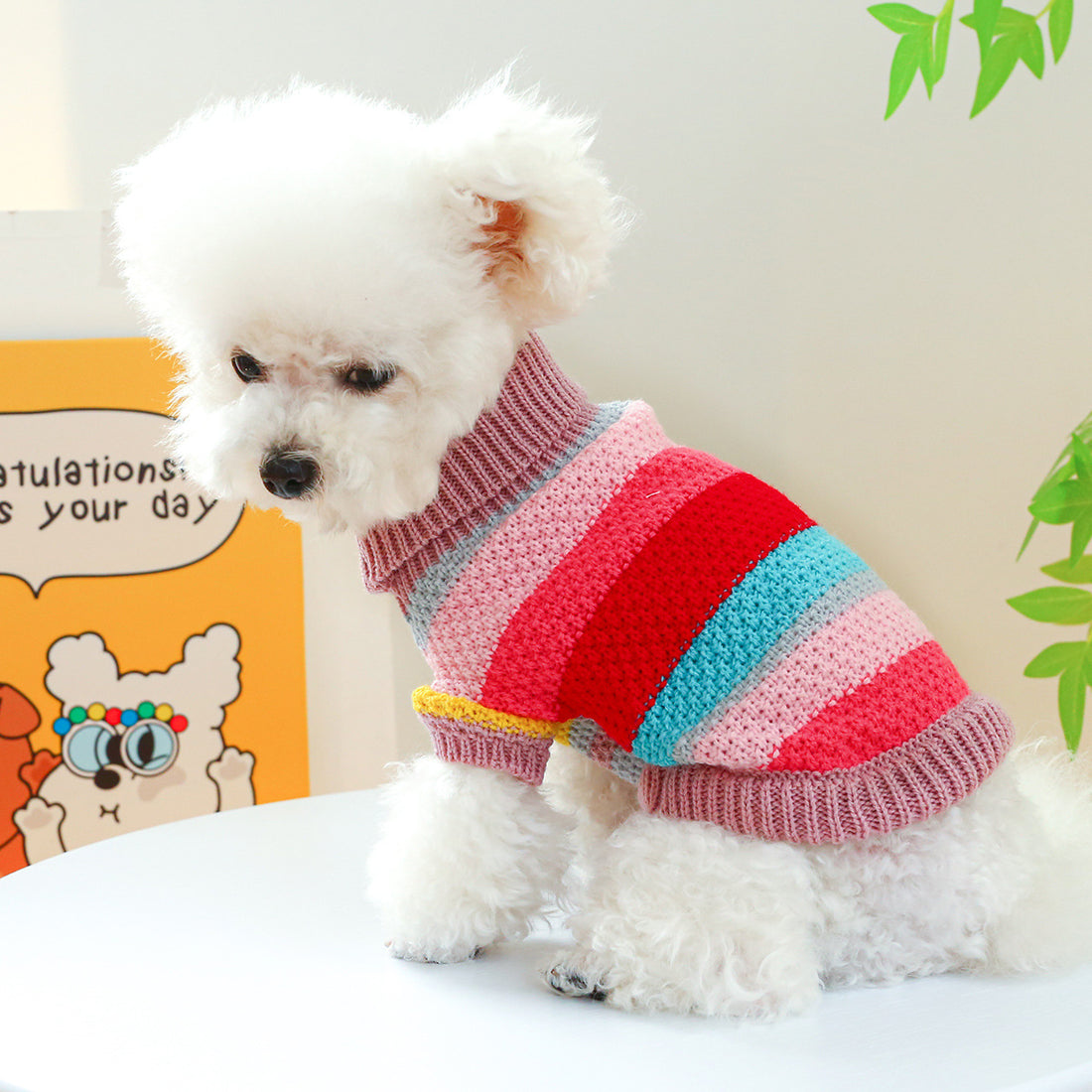 Rainbow Colorful Stripes Pet Sweater