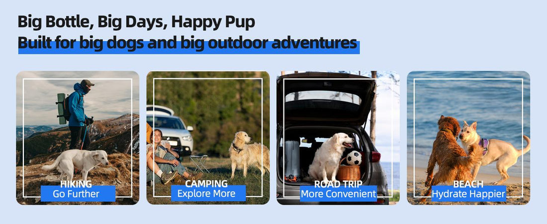 Portable Pull-Out Water Bowl for Dogs