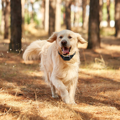 990FT Range Dog Wireless Training Collar