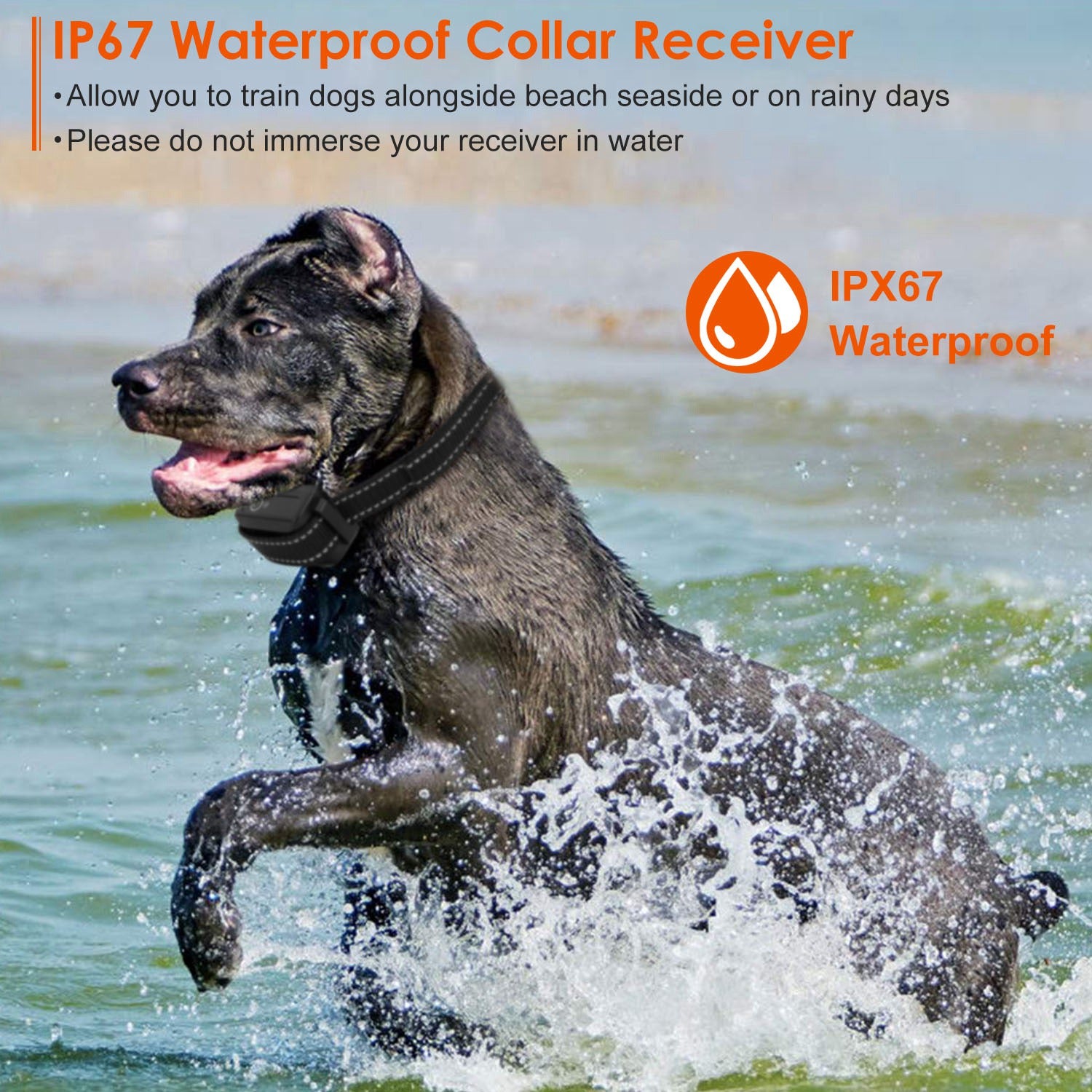 IP67 Waterproof Receiver & 3-Mode Dog Trainer