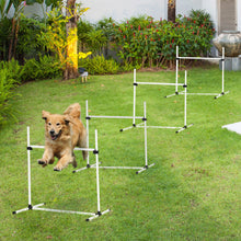 4-Piece Dog Agility Training Set