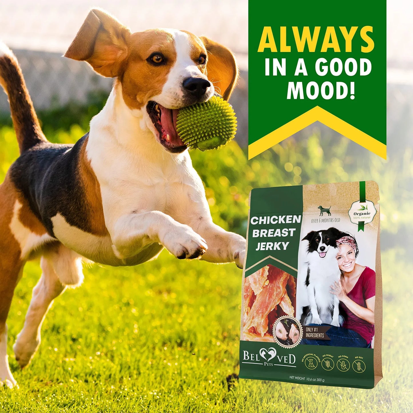 Natural Ingredients Chicken Jerky Dog Treats