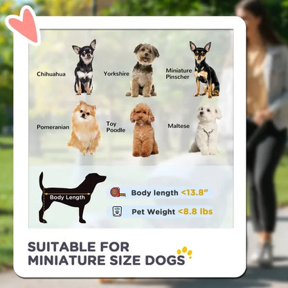 3 In 1 Pet Stroller With Detachable Carrier