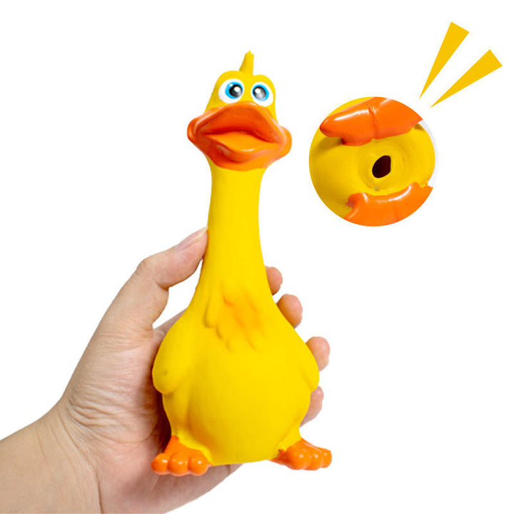 Latex Screaming Chicken Dog Toy Set
