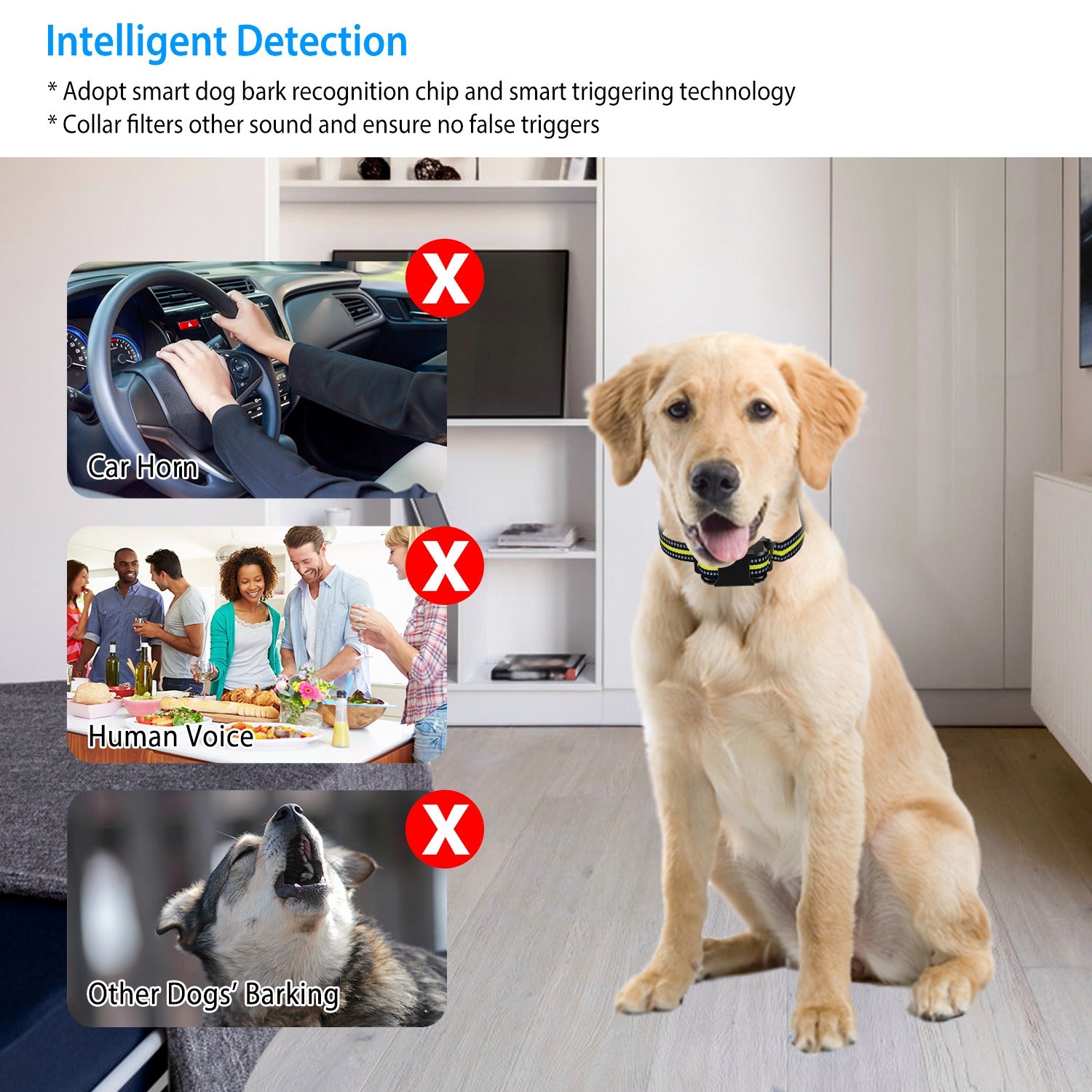 Anti-Bark Collar with Dual Training Modes