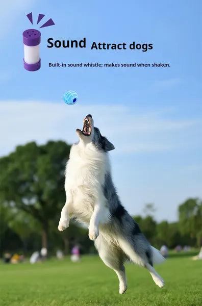 Pet Squeaky Interactive Sound Ball