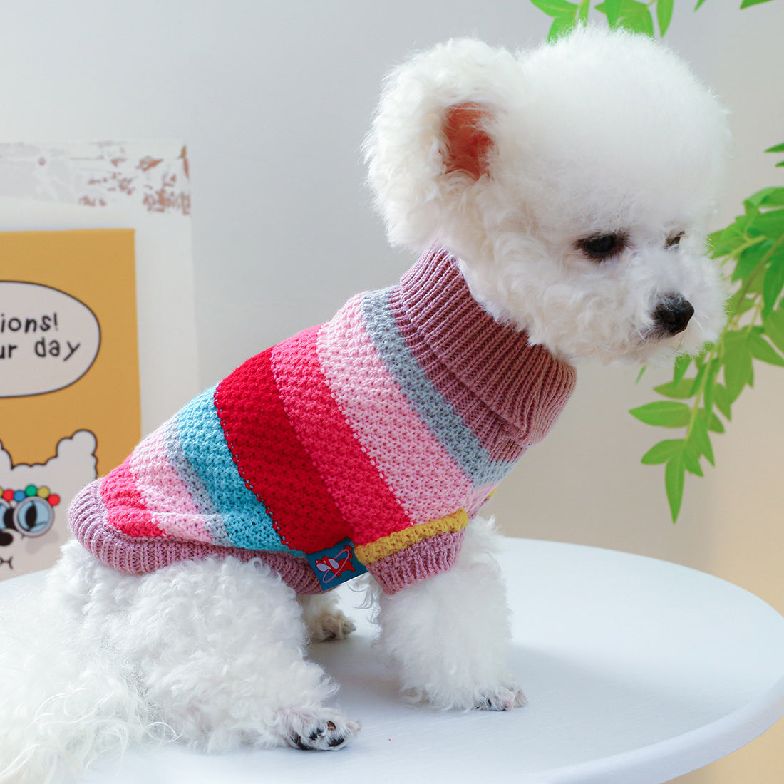 Rainbow Colorful Stripes Pet Sweater