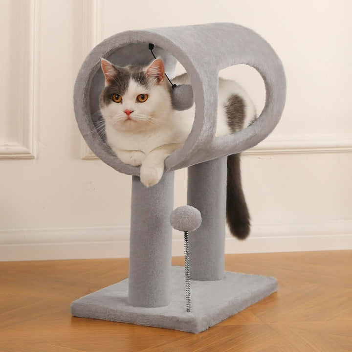 Indoor Cat Tree Tunnel Bed