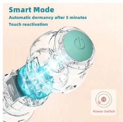 Electric Motion Rolling Cat Ball