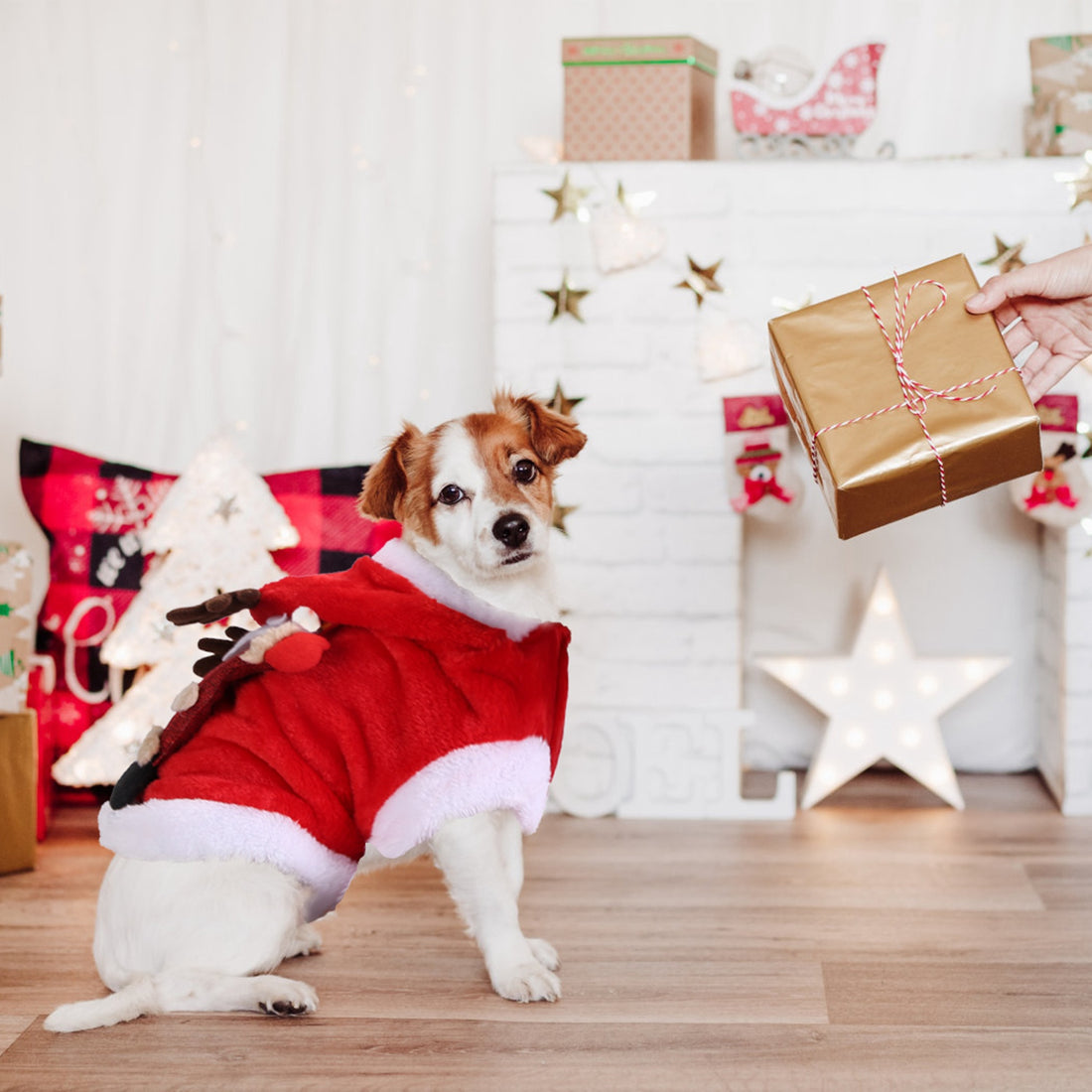 Christmas Clothes Santa Claus Pet Outfit