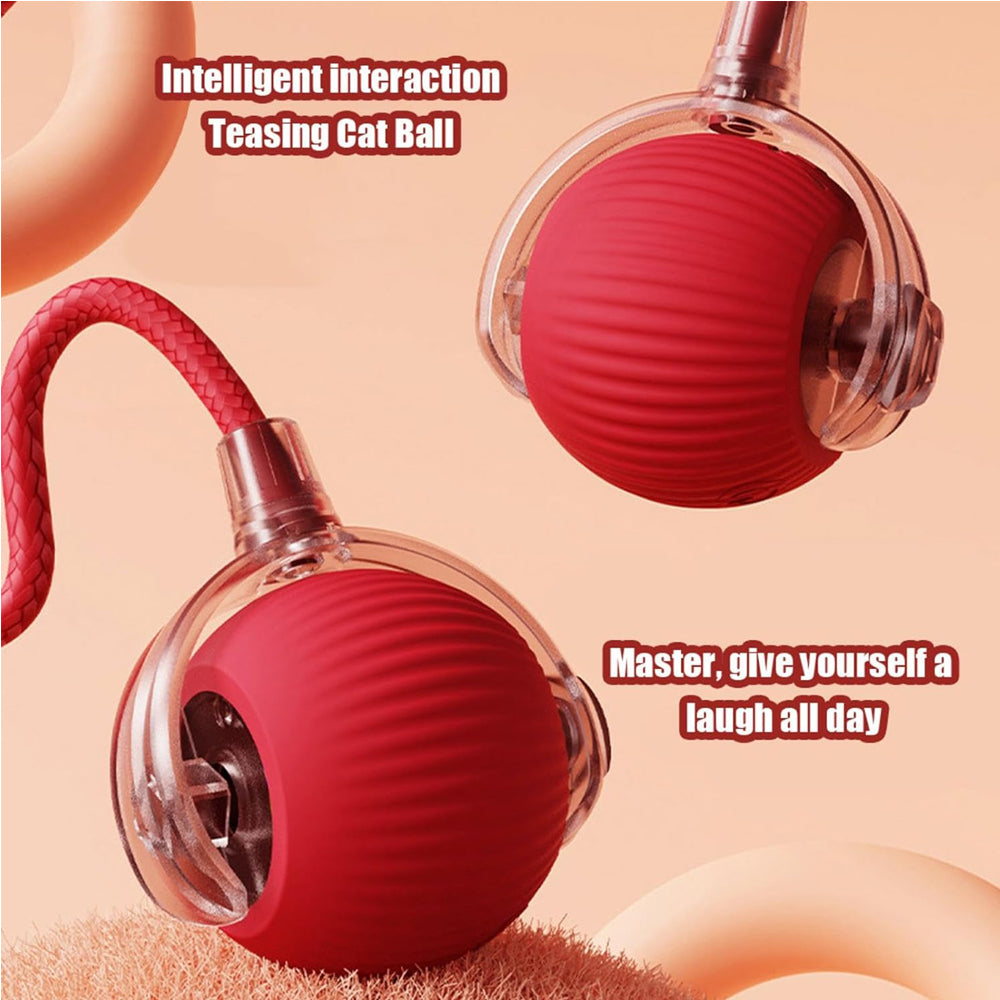Motion-Activated Interactive Rolling Cat Ball