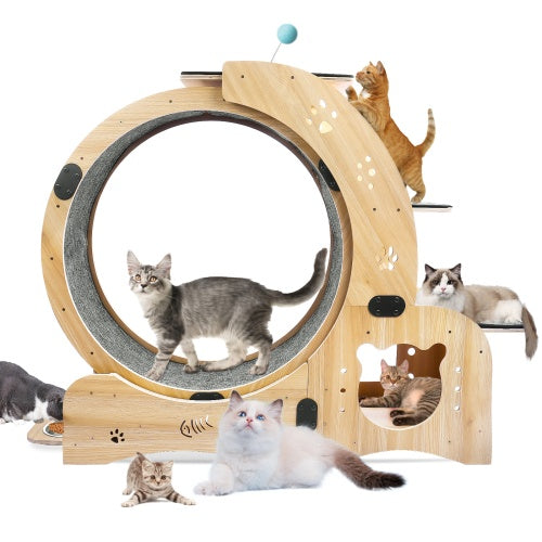 6-in-1 Wooden Cat Exercise Wheel