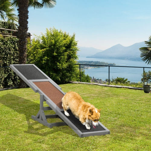 Dog Agility Training Wooden Seesaw