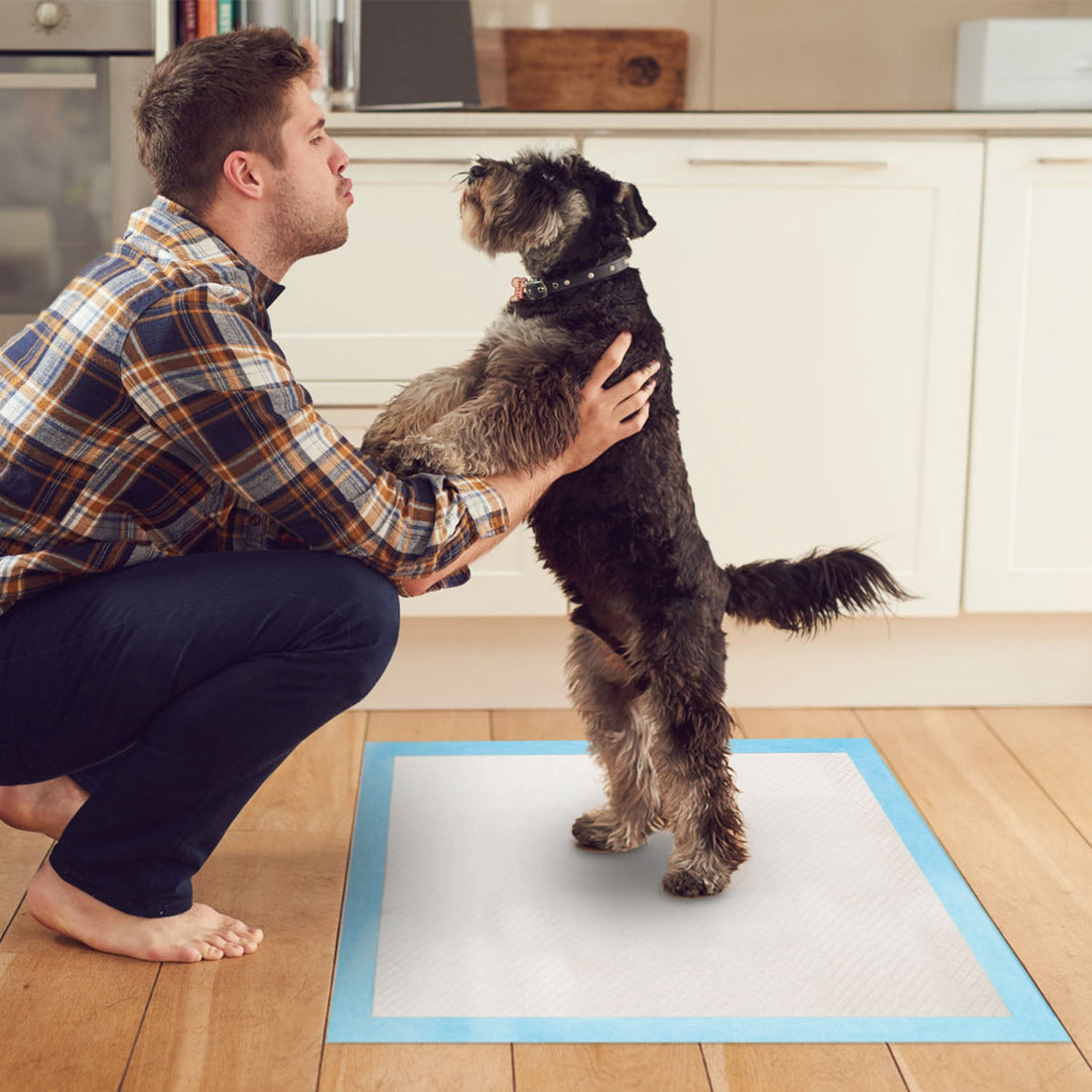 50Pcs Dog and Cat Training Pads