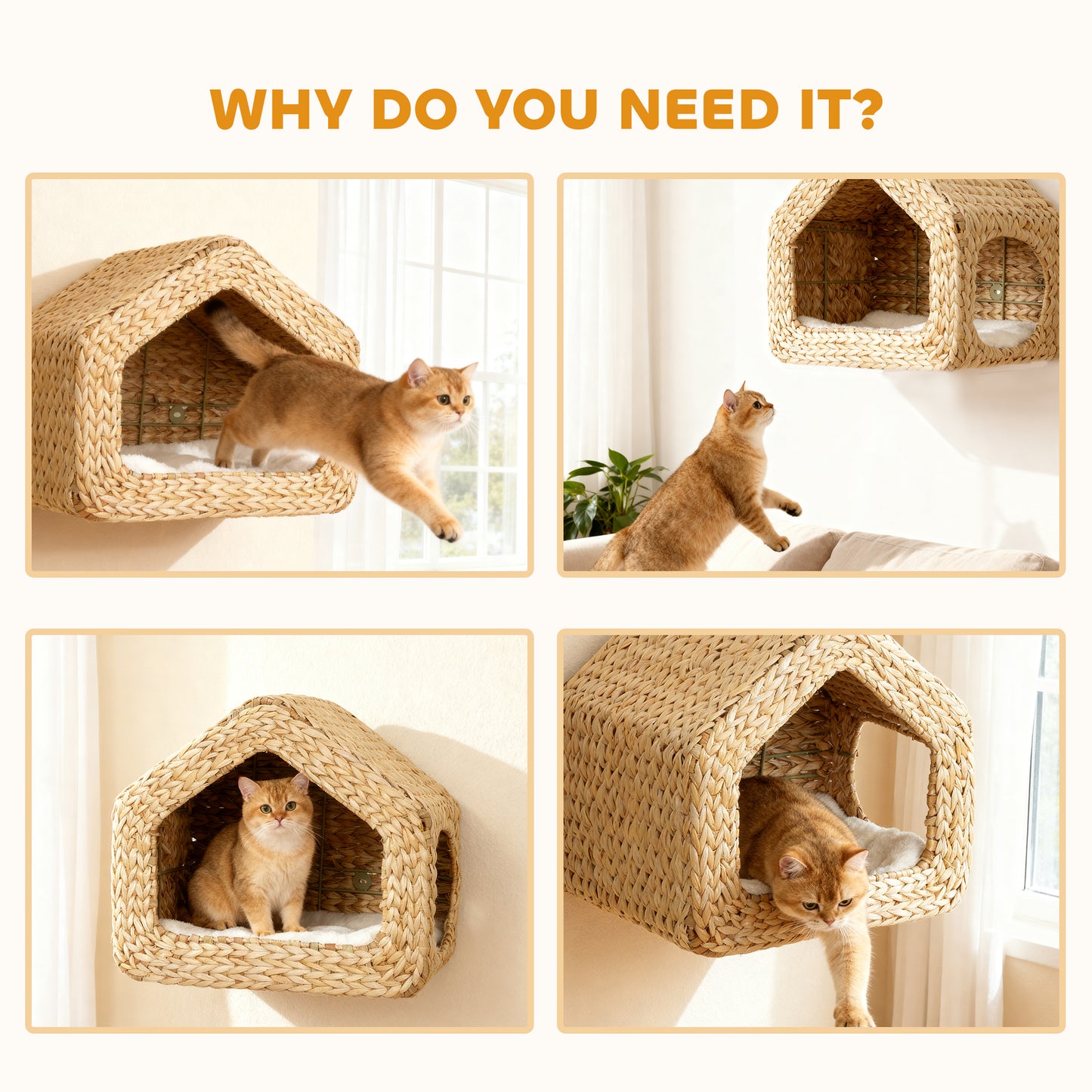 Wall Mounted Cat House