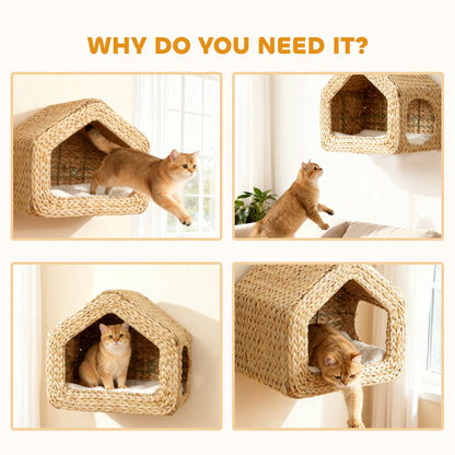 Wall Mounted Cat House