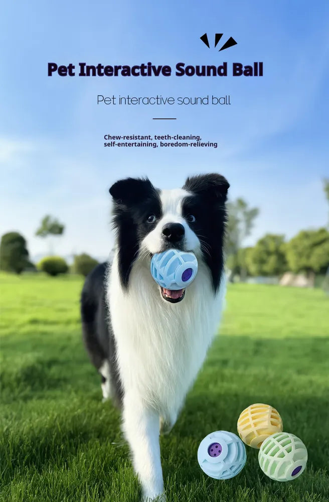 Pet Squeaky Interactive Sound Ball