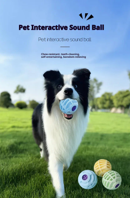 Pet Squeaky Interactive Sound Ball