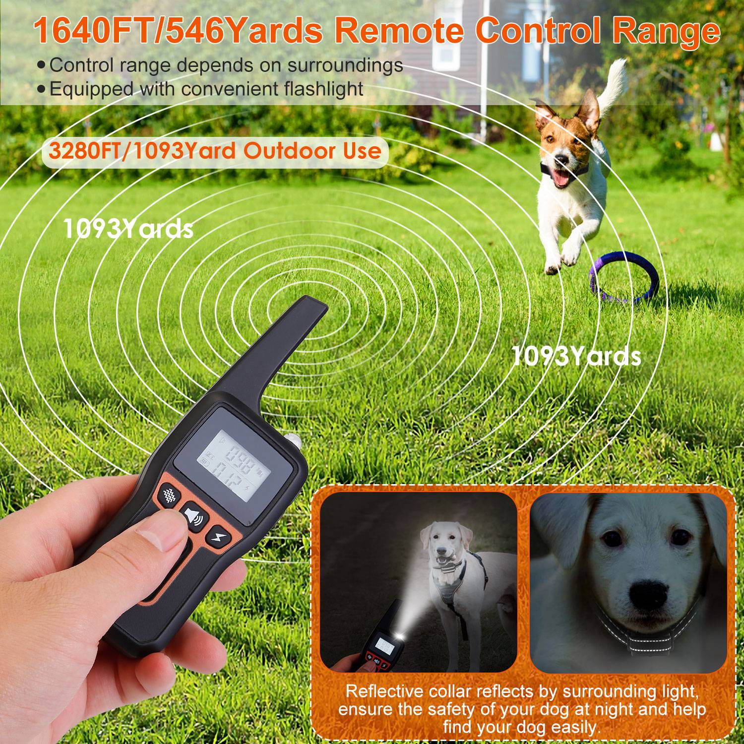 IP67 Waterproof Receiver & 3-Mode Dog Trainer