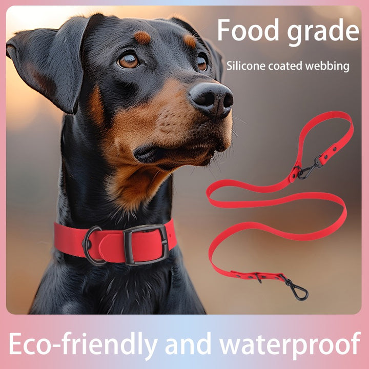 Silicone Dog Collar and Leash Set