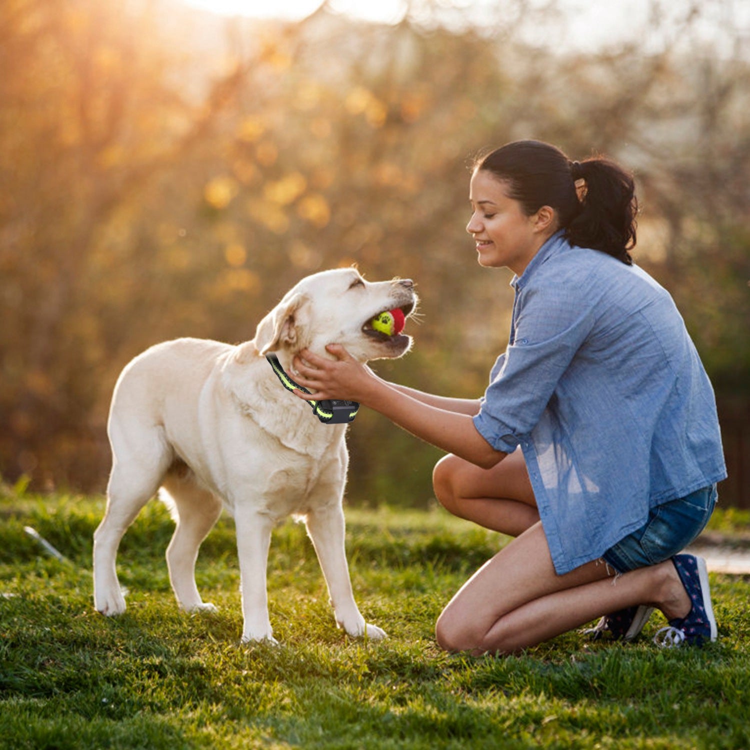 Anti-Bark Collar with Dual Training Modes