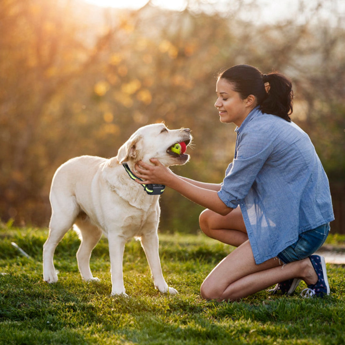 Anti-Bark Collar with Dual Training Modes