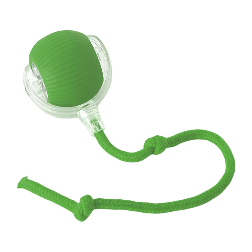 Motion-Activated Interactive Rolling Cat Ball