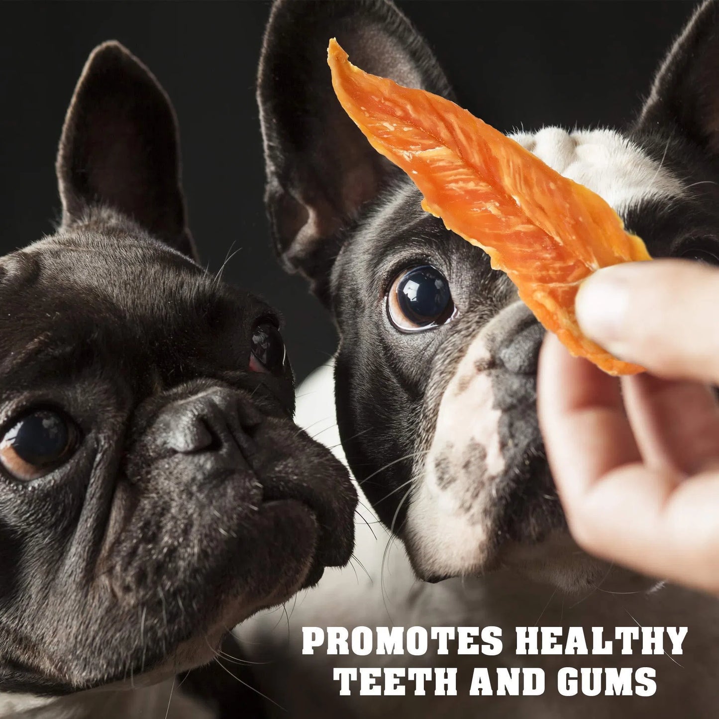 Chicken Jerky Dog Treats 1.5 Lb