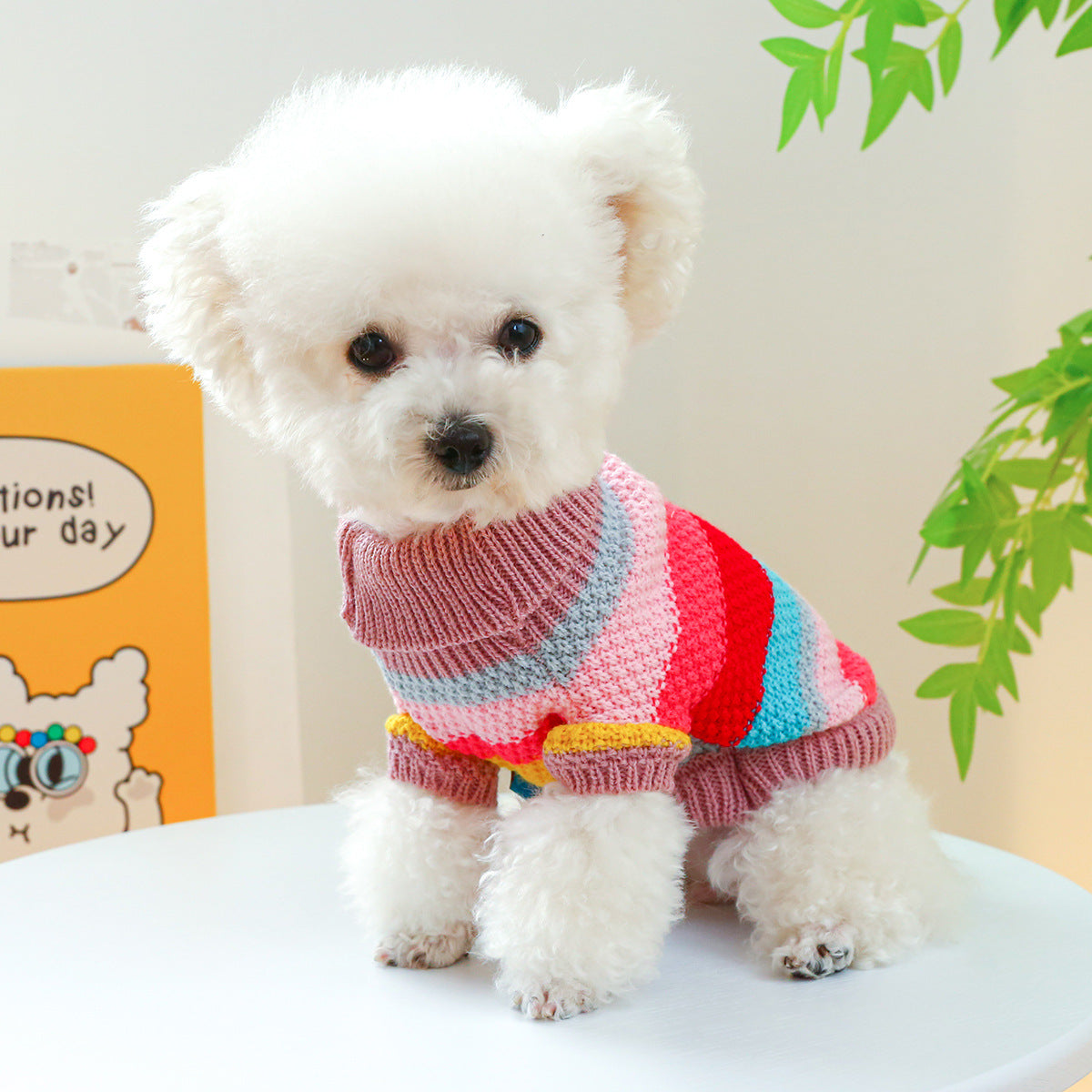 Rainbow Colorful Stripes Pet Sweater