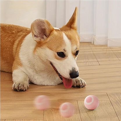 Electric Motion Rolling Cat Ball