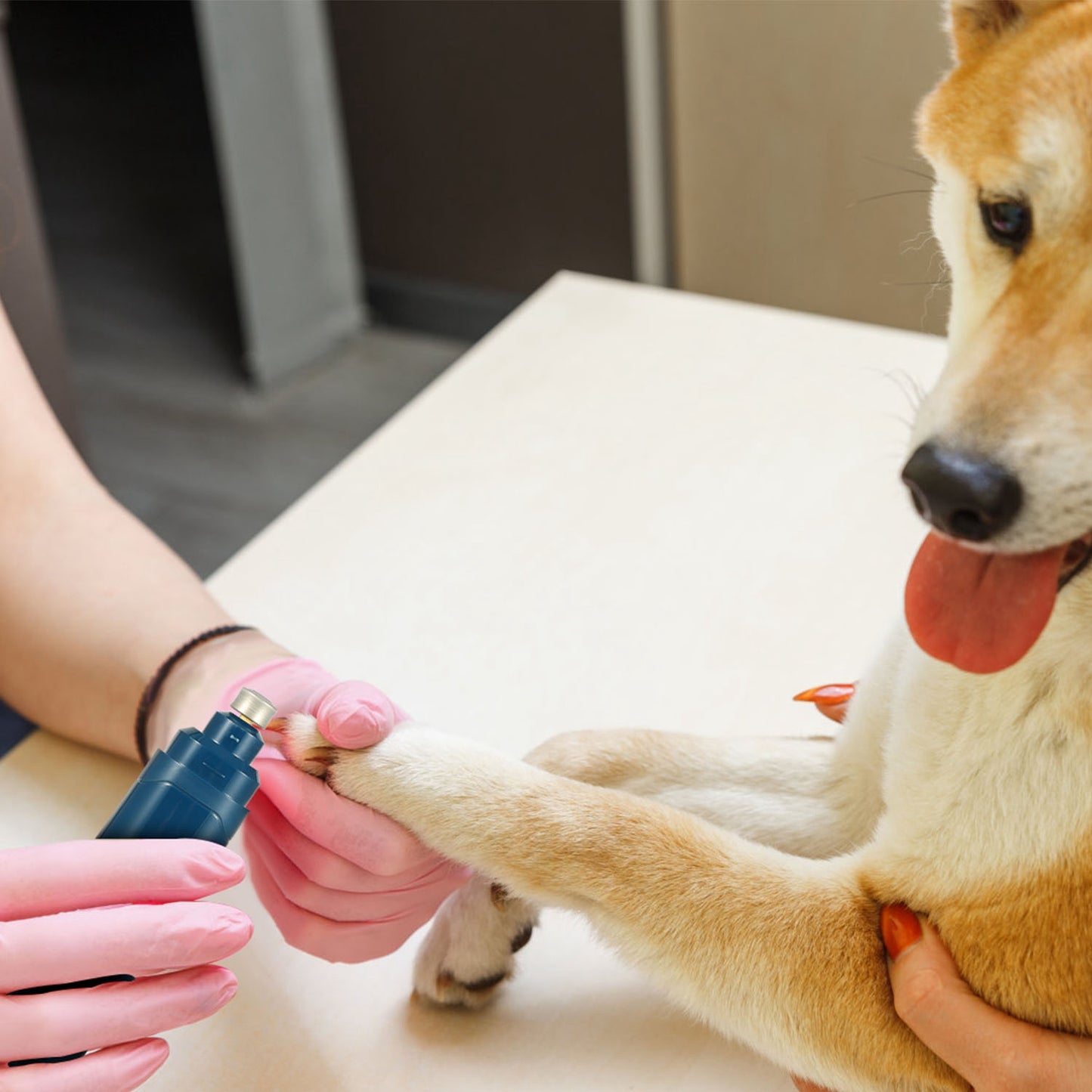 2 Speeds Cordless Dog Nail Grinder