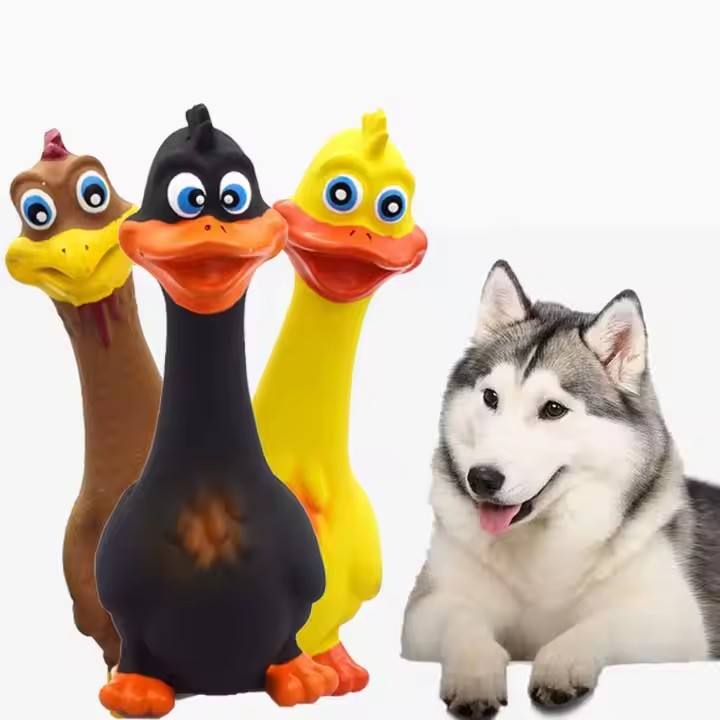 Latex Screaming Chicken Dog Toy Set