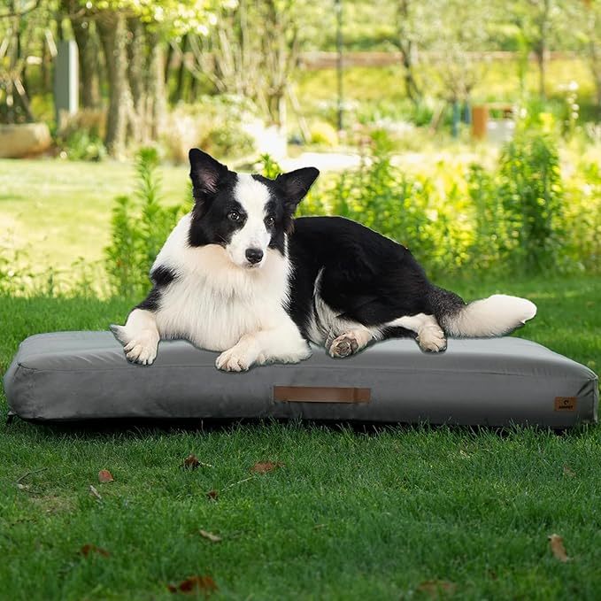 Outdoor Inflatable Waterproof Dog Bed