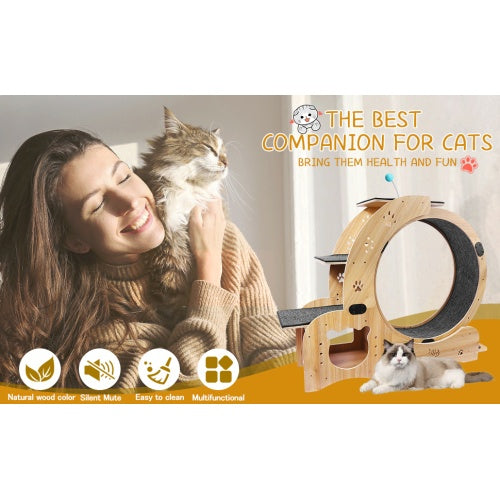 6-in-1 Wooden Cat Exercise Wheel