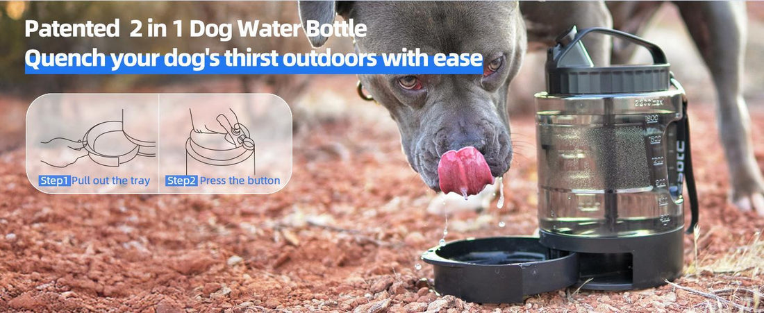 Portable Pull-Out Water Bowl for Dogs
