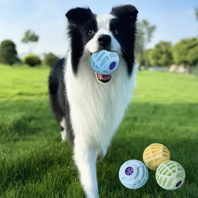 Pet Squeaky Interactive Sound Ball