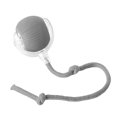 Motion-Activated Interactive Rolling Cat Ball