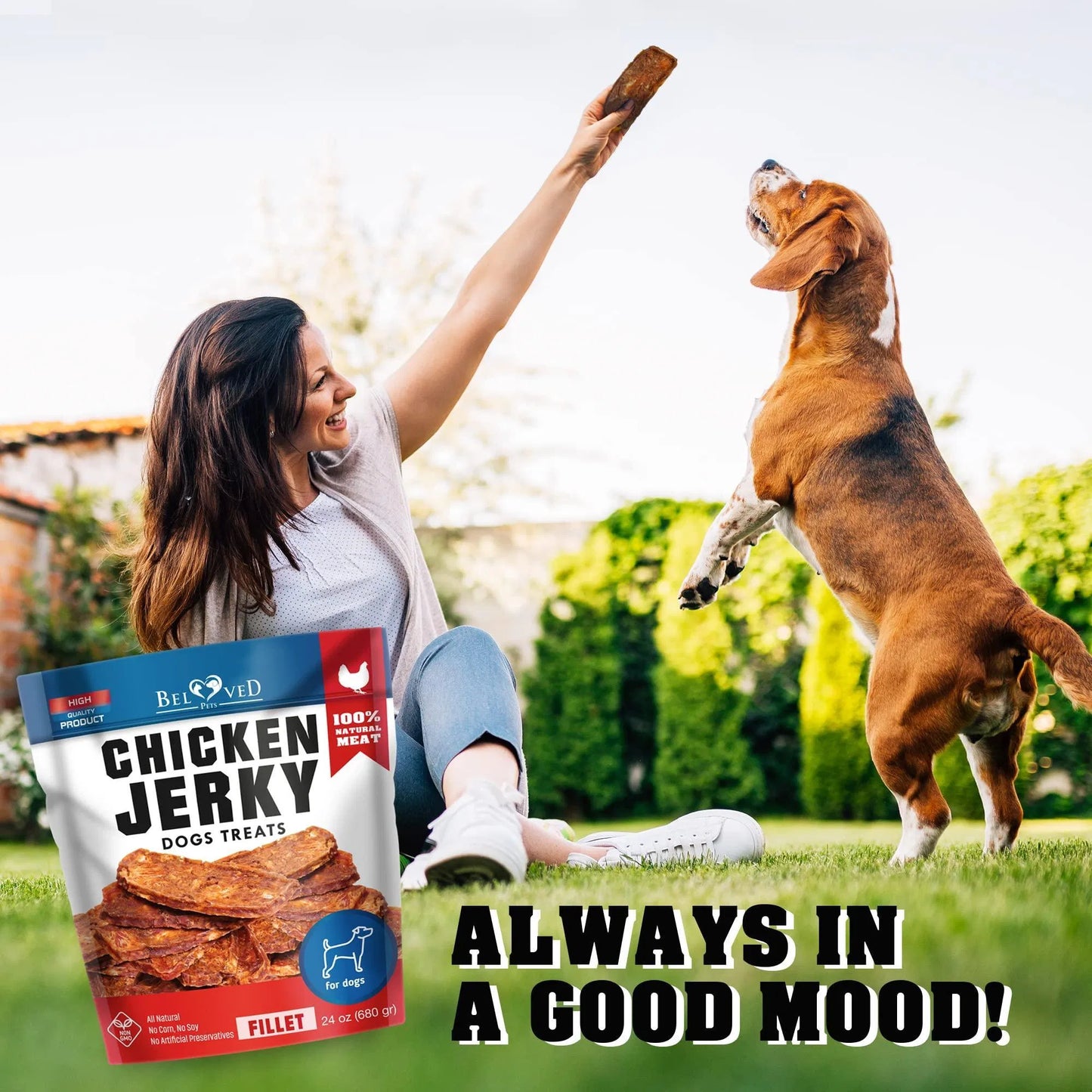 Chicken Jerky Dog Treats